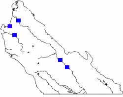 Map Black-fronted Forktail